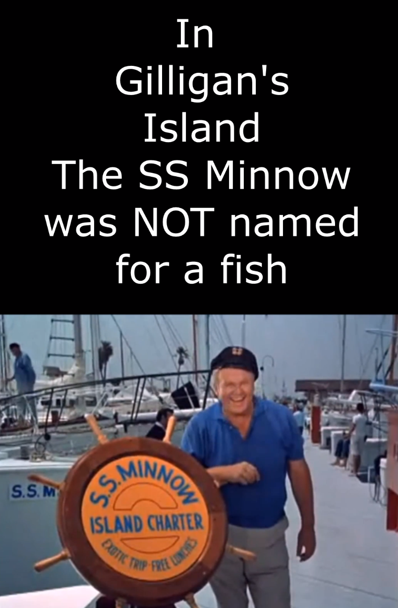 The SS Minnow was NOT named for a fish